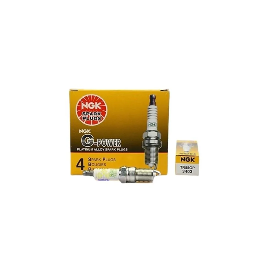 BUJIA VORTEC 4.3/5.7/F-150 4.6 | Consultar aplicacion