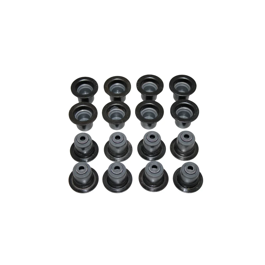 GOMA VAL.CALIBER 2.0 ECN | PM